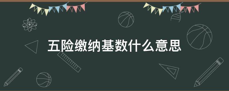 五险缴纳基数什么意思（五险一金缴纳基数是什么意思）