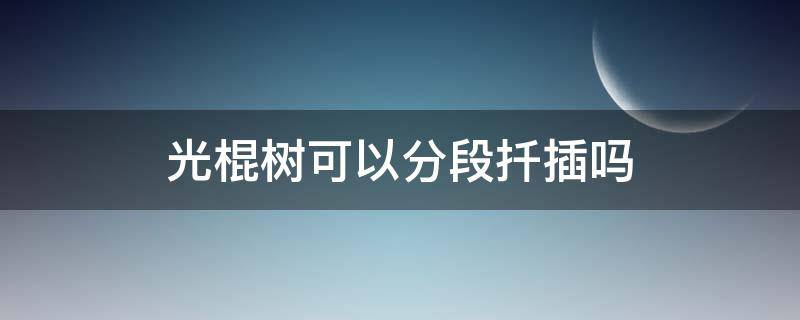 光棍树可以分段扦插吗（光棍树可以直接剪枝扦插么）