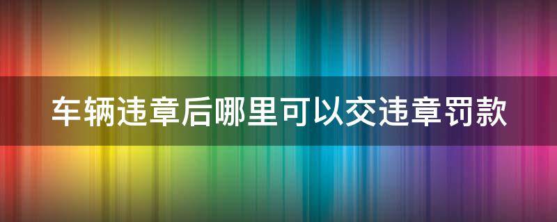 车辆违章后哪里可以交违章罚款（车辆违章去哪交钱）