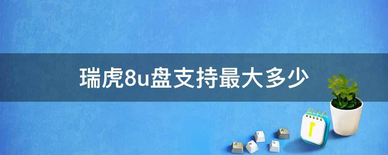 瑞虎8u盘支持最大多少（瑞虎8u盘歌曲播放格式）