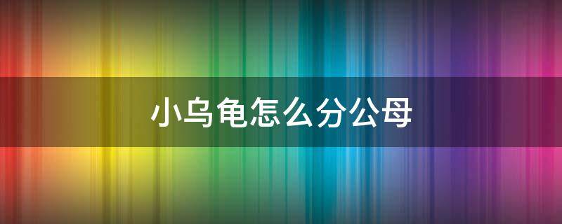 小乌龟怎么分公母 小乌龟怎么分公母?