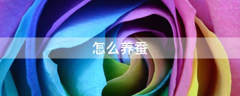 怎么养蚕（怎么养蚕宝宝）