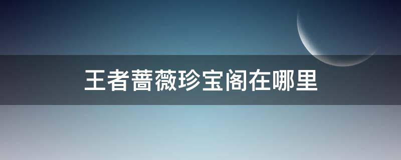 王者蔷薇珍宝阁在哪里（王者蔷薇珍宝阁在哪里看）