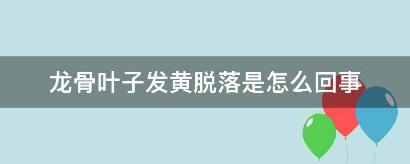 龙骨叶子发黄脱落是怎么回事（龙骨叶子发黄脱落是怎么回事铜钱草怎么栽培?）