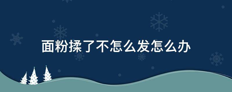 面粉揉了不怎么发怎么办 面粉揉了不发是什么原因