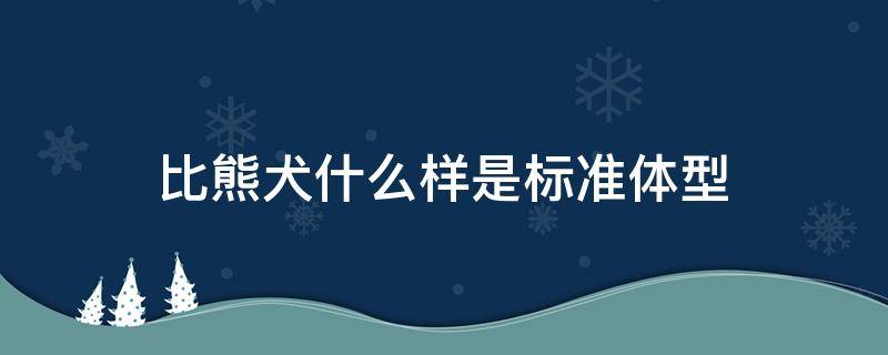 比熊犬什么样是标准体型 比熊犬体重体型对照表