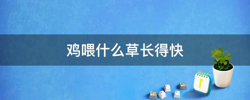 鸡喂什么草长得快 草鸡吃什么饲料长得快