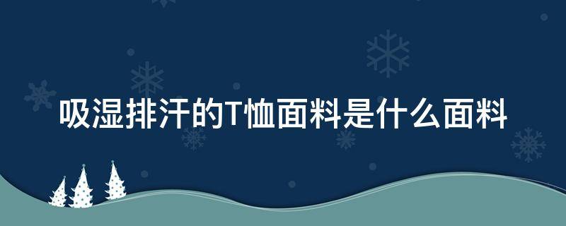 吸湿排汗的T恤面料是什么面料（什么面料柔软吸汗）