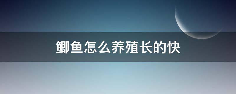 鲫鱼怎么养殖长的快（鲫鱼怎么养的时间长）