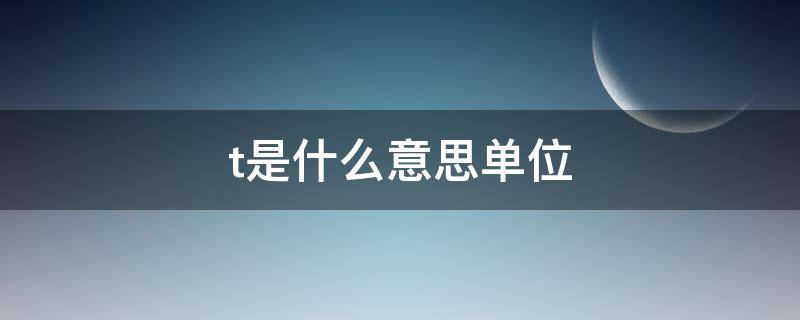 t是什么意思单位 t是什么意思单位名称