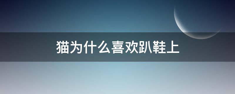 猫为什么喜欢趴鞋上 猫为什么喜欢趴鞋上睡觉