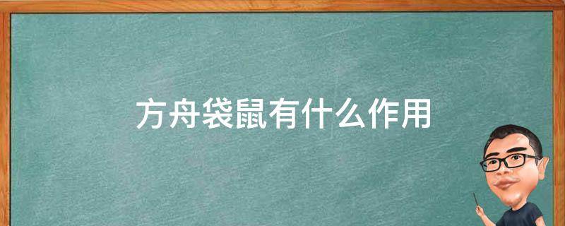 方舟袋鼠有什么作用 方舟袋鼠可以干什么