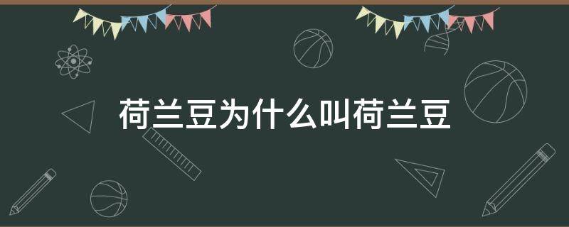 荷兰豆为什么叫荷兰豆 荷兰豆为什么叫荷兰豆1001荷兰豆为什么叫荷兰豆