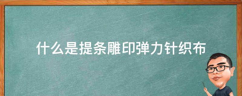 什么是提条雕印弹力针织布 弹力印花布