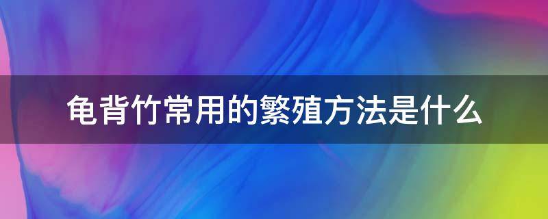 龟背竹常用的繁殖方法是什么（龟背竹繁殖方式）