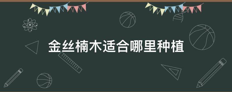 金丝楠木适合哪里种植（金丝楠木可以种植吗是什么样子的）