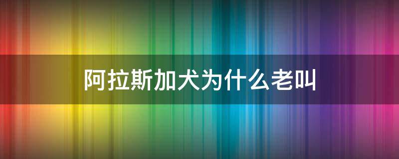 阿拉斯加犬为什么老叫（阿拉斯加犬为什么一直叫）