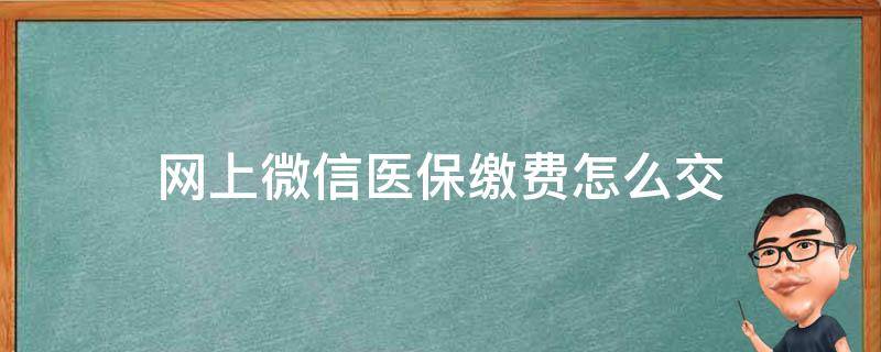 网上微信医保缴费怎么交（医保怎么交网上缴费）