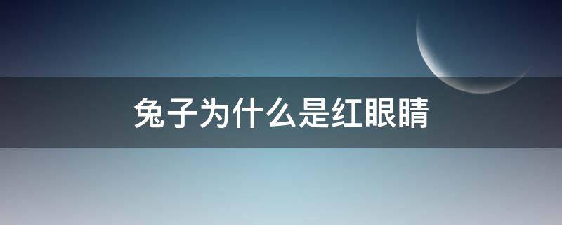 兔子为什么是红眼睛（兔子为什么是红眼睛,短尾巴）