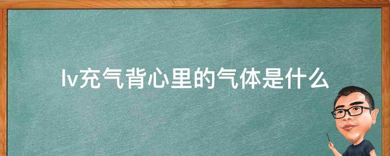 lv充气背心里的气体是什么（lv气泡袋背心）