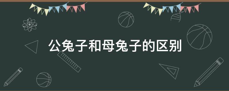 公兔子和母兔子的区别（公兔子和母兔子的区别是什么）