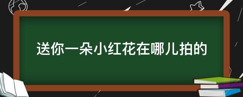 送你一朵小红花在哪儿拍的 送你一朵小红花 在哪儿拍