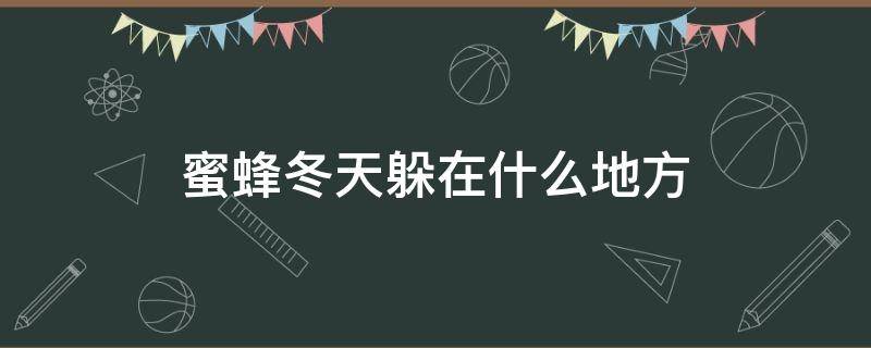 蜜蜂冬天躲在什么地方 冬天的蜜蜂躲在哪里