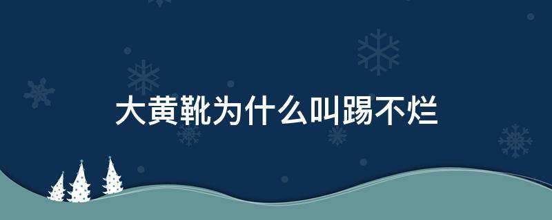 大黄靴为什么叫踢不烂（大黄靴 踢不烂）