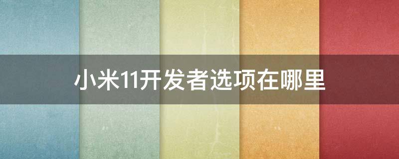 小米11开发者选项在哪里（小米11开发者选项在哪里放电）