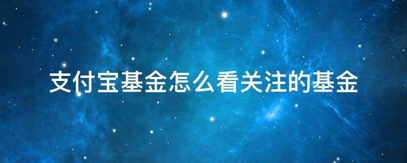 支付宝基金怎么看关注的基金 支付宝基金如何看关注