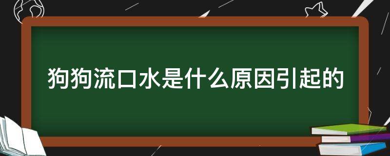 狗狗流口水是什么原因引起的（狗狗流口水是因为什么）