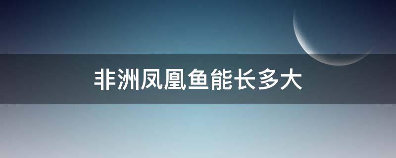 非洲凤凰鱼能长多大 玻利维亚凤凰鱼能长多大