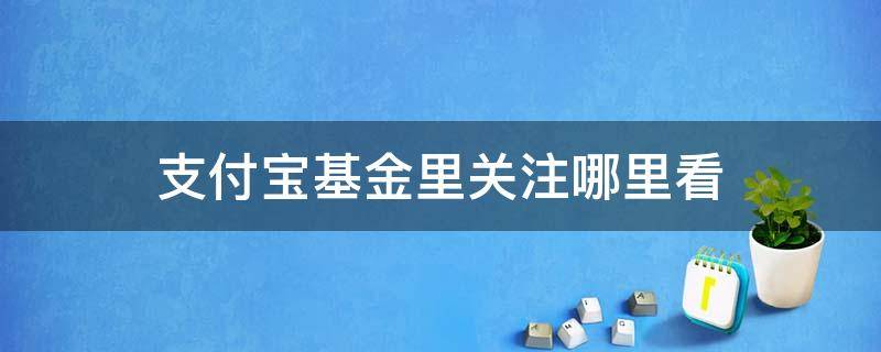 支付宝基金里关注哪里看（支付宝基金的关注在哪里找）