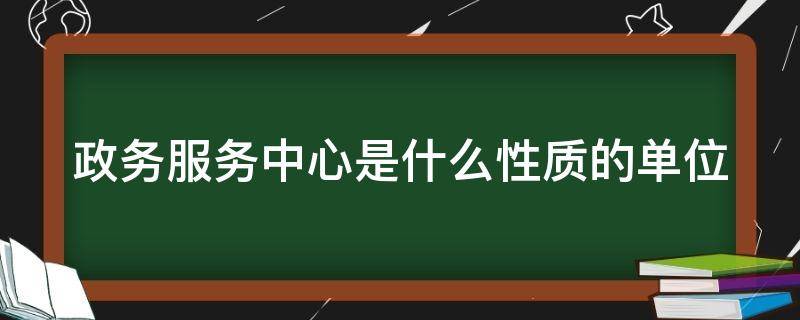 政务服务中心是什么性质的单位（政务服务中心是什么性质的单位类型）