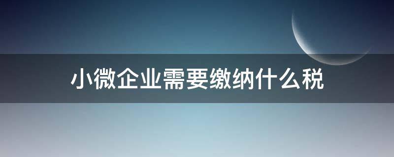 小微企业需要缴纳什么税（微小企业要交什么税）