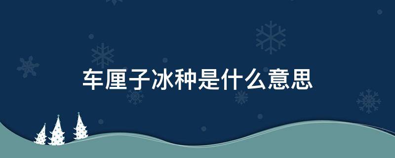 车厘子冰种是什么意思 什么叫冰车厘子