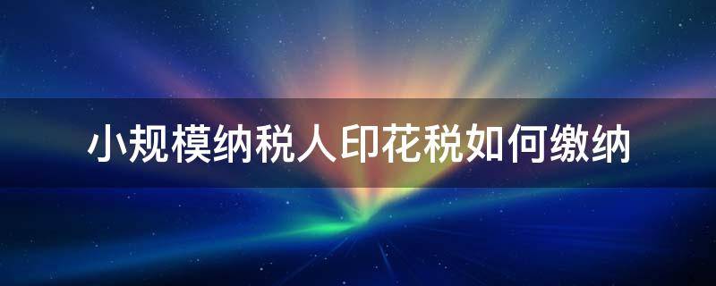 小规模纳税人印花税如何缴纳 一般纳税人和小规模印花税缴纳