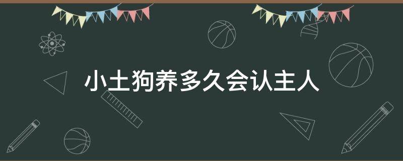 小土狗养多久会认主人 小土狗多少天会认人