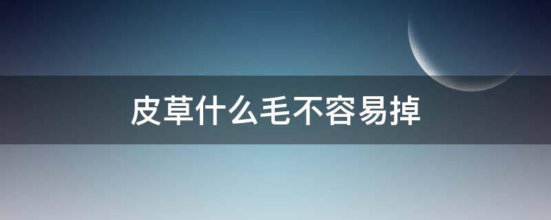 皮草什么毛不容易掉（皮草为什么容易掉毛）