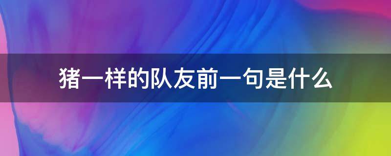 猪一样的队友前一句是什么 猪一样的队友前一句是什么图片