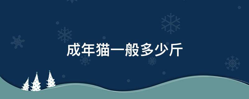 成年猫一般多少斤 美短成年猫一般多少斤