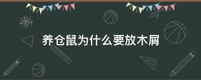 养仓鼠为什么要放木屑（养仓鼠一定要放木屑吗）