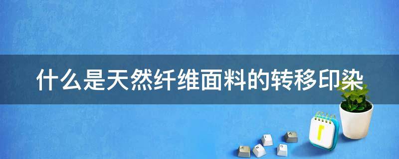 什么是天然纤维面料的转移印染 什么是天然纤维面料的转移印染工艺