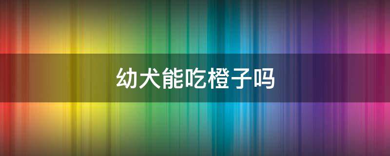 幼犬能吃橙子吗 小型犬可以吃橙子吗