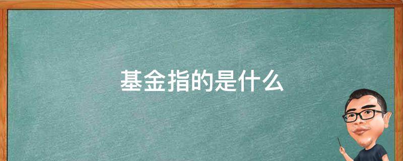 基金指的是什么 场内基金指的是什么