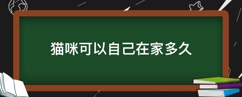 猫咪可以自己在家多久 猫咪自己在家可以待多久