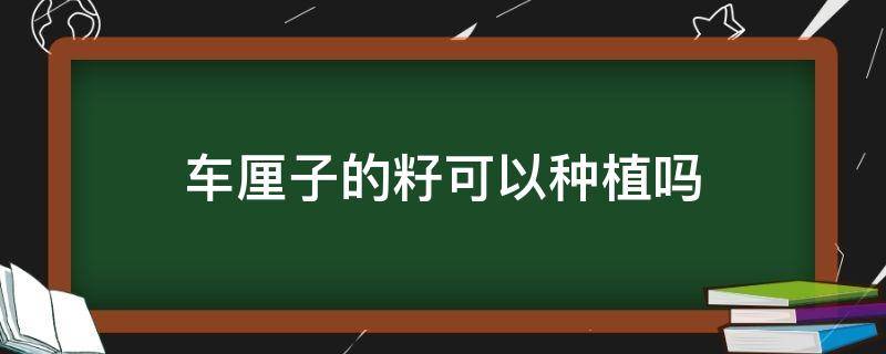 车厘子的籽可以种植吗 如何用车厘子的籽种植