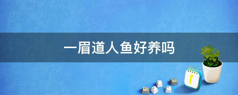 一眉道人鱼好养吗 一眉道人鱼最佳混养鱼