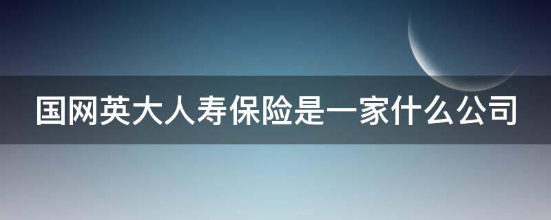 国网英大人寿保险是一家什么公司 国网英大人寿官方网站