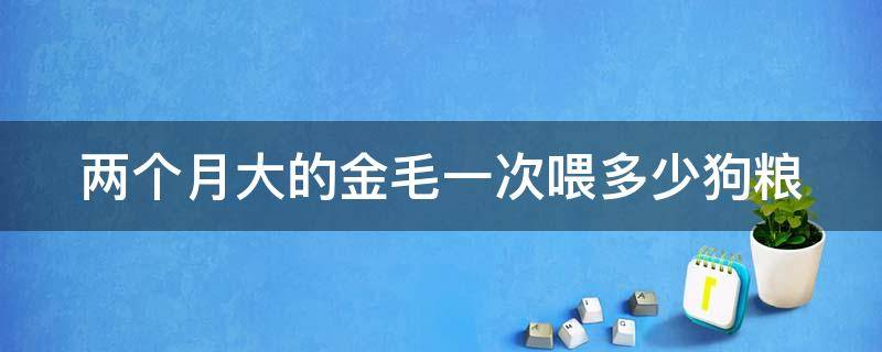 两个月大的金毛一次喂多少狗粮（两个月大的金毛一次喂多少狗粮合适）